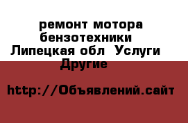 ремонт мотора бензотехники - Липецкая обл. Услуги » Другие   